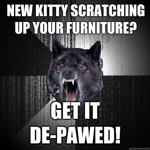 New kitty scratching up your furniture? Get it de-pawed!  Insanity Wolf