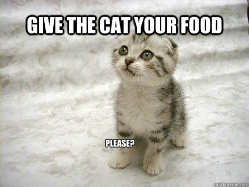 Give the cat your food Please? - Give the cat your food Please?  Begging Cat meme