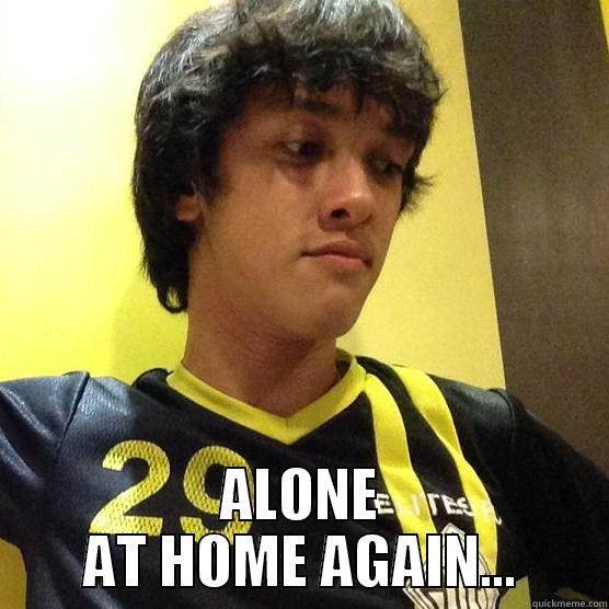  ALONE AT HOME AGAIN... Misc