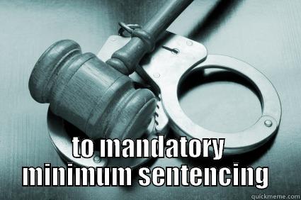  TO MANDATORY MINIMUM SENTENCING  Misc