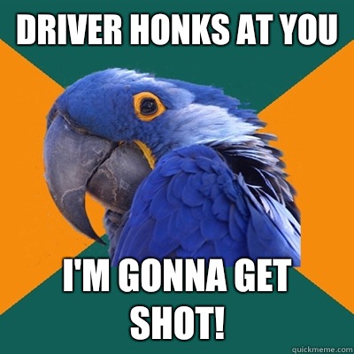 Driver honks at you I'm gonna get shot!  Paranoid Parrot