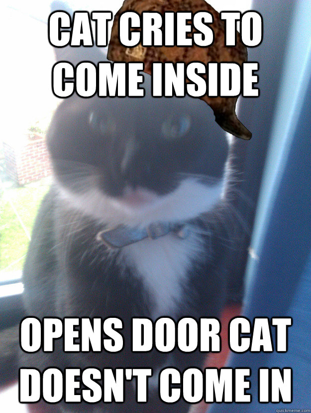 Cat cries to come inside Opens door cat doesn't come in  Scumbag Cat