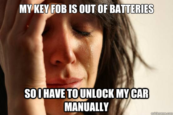 My key fob is out of batteries So I have to unlock my car manually - My key fob is out of batteries So I have to unlock my car manually  First World Problems