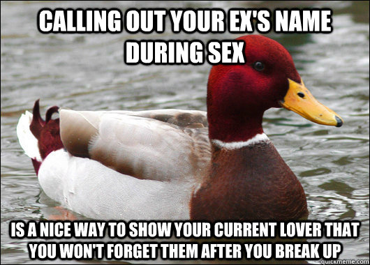calling out your ex's name during sex is a nice way to show your current lover that you won't forget them after you break up  Malicious Advice Mallard