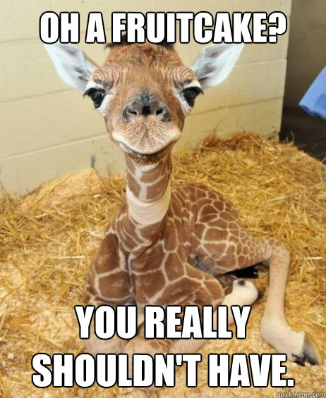 Oh a fruitcake? You really shouldn't have. - Oh a fruitcake? You really shouldn't have.  Ungrateful Giraffe
