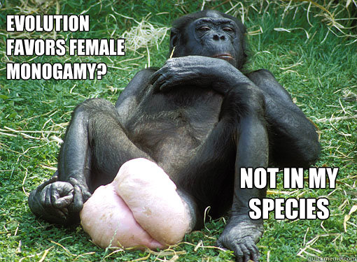 Evolution favors female monogamy? Not in my species  Condescending Female Bonobo
