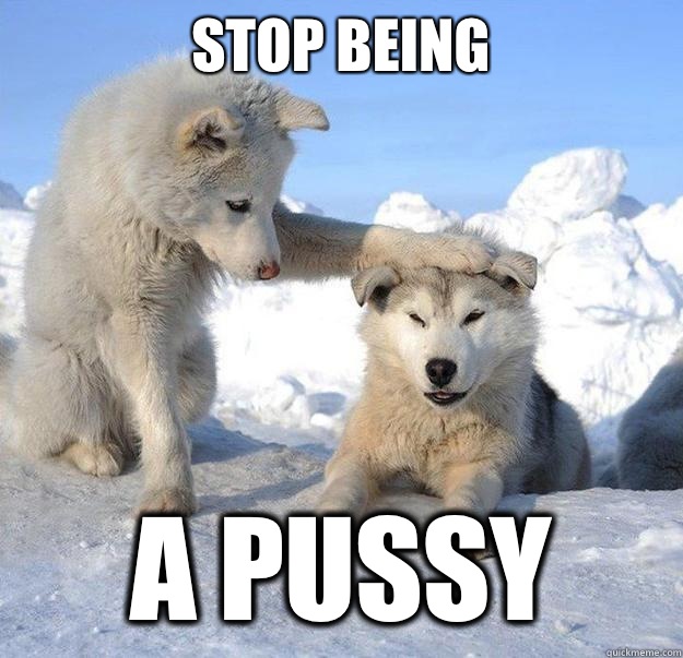 Stop being
 A pussy  Caring Husky