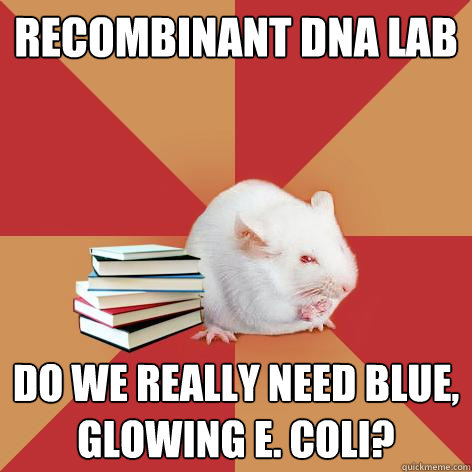 recombinant dna lab Do we really need blue, glowing e. coli? - recombinant dna lab Do we really need blue, glowing e. coli?  Science Major Mouse