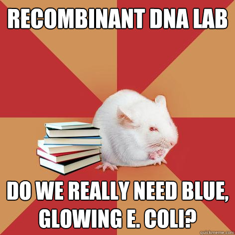 recombinant dna lab Do we really need blue, glowing e. coli?  Science Major Mouse