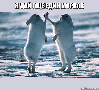 Я дай още един морков
   Bunny Bros