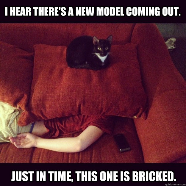 I hear there's a new model coming out. Just in time, this one is bricked.  jealous cat