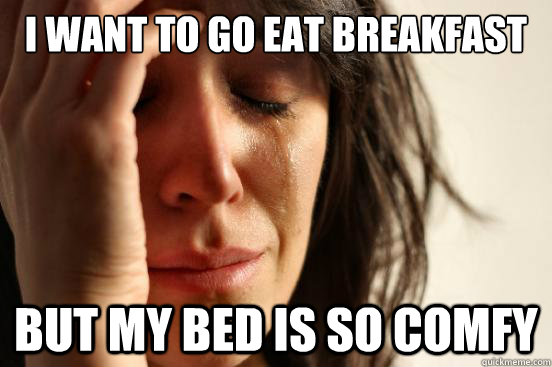 i want to go eat breakfast but my bed is so comfy  First World Problems