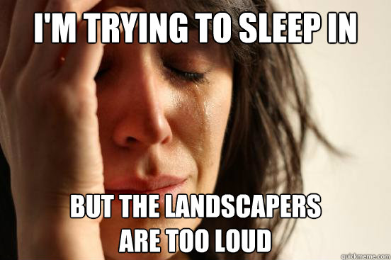 I'm trying to sleep in but the landscapers 
are too loud  First World Problems