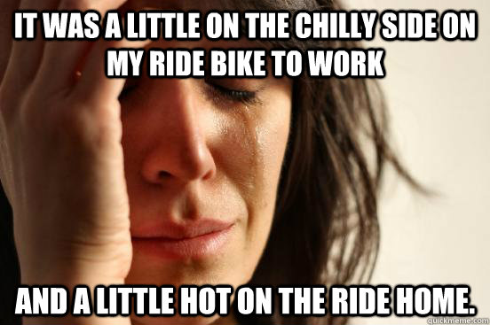 It was a little on the chilly side on my ride bike to work and a little hot on the ride home.  First World Problems