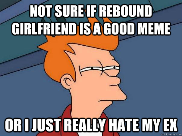 not sure if rebound girlfriend is a good meme or I just really hate my ex  Futurama Fry