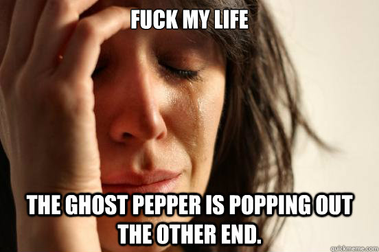 Fuck my life The ghost pepper is popping out the other end.  First World Problems