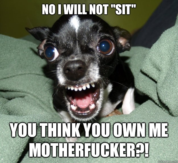 No I will not 