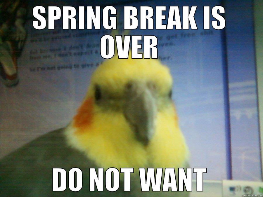 SPRING BREAK IS OVER DO NOT WANT Misc