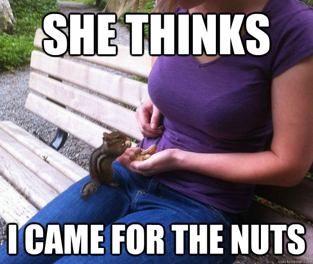 she thinks i came for the nuts - she thinks i came for the nuts  Misc