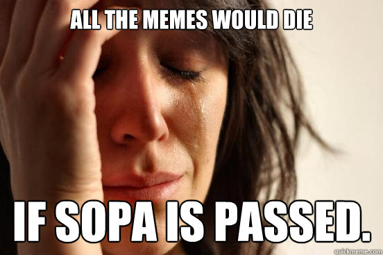 all the memes would die if SOPA is passed.  First World Problems