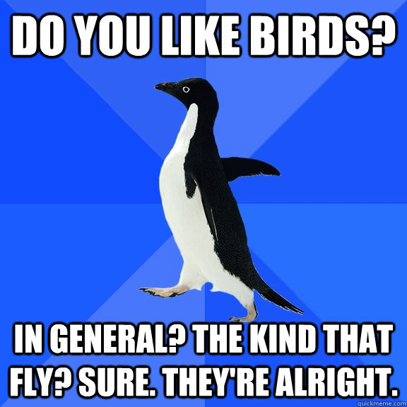 Do you like birds? In general? The kind that fly? Sure. They're alright.  Socially Awkward Penguin