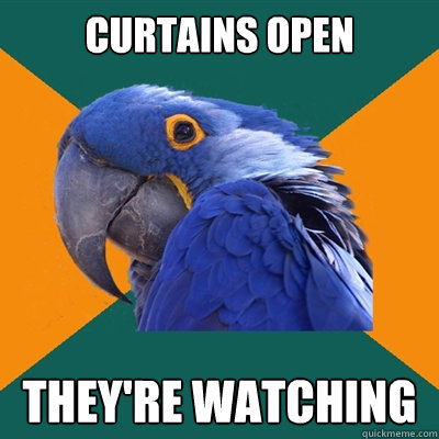 Curtains open they're watching  Paranoid Parrot