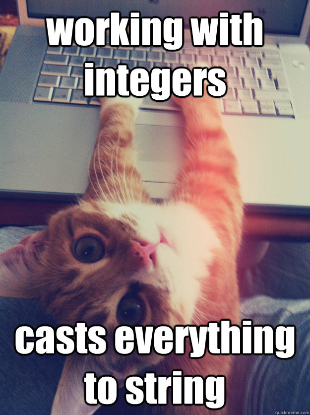 working with integers casts everything to string  Programmer Cat