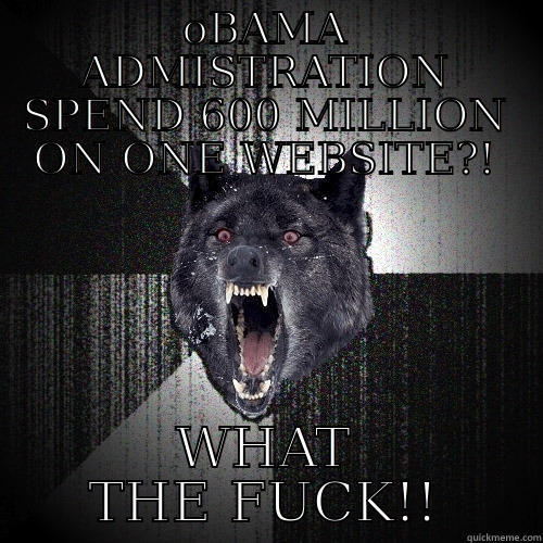OBAMA ADMISTRATION SPEND 600 MILLION ON ONE WEBSITE?! WHAT THE FUCK!! Insanity Wolf