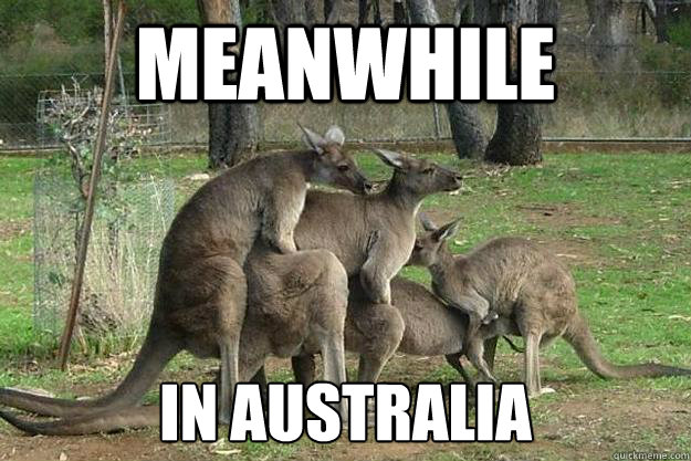 Meanwhile In Australia  Meanwhile in Australia