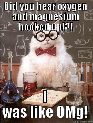 DID YOU HEAR OXYGEN AND MAGNESIUM HOOKED UP!?! I WAS LIKE OMG! Chemistry Cat