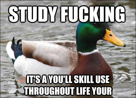 study fucking it's a you'll skill use throughout life your   Actual Advice Mallard