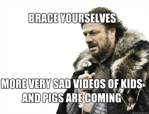 BRACE YOURSELves more very sad videos of kids and pigs are coming  BRACE YOURSELF SOLO QUEUE