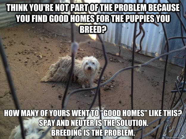 Think you're not part of the problem because you find good homes for the puppies you breed? How many of yours went to 
