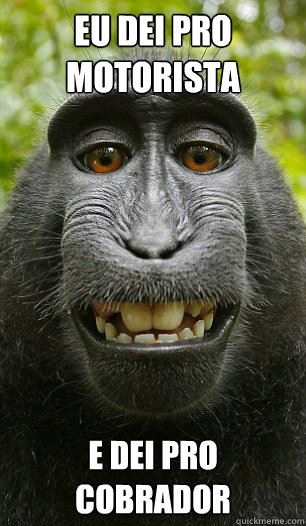 eu dei pro motorista e dei pro cobrador  Mindful Macaque