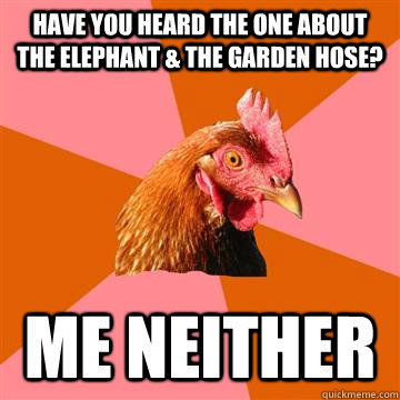 Have you heard the one about the elephant & the garden hose? Me neither  Anti-Joke Chicken