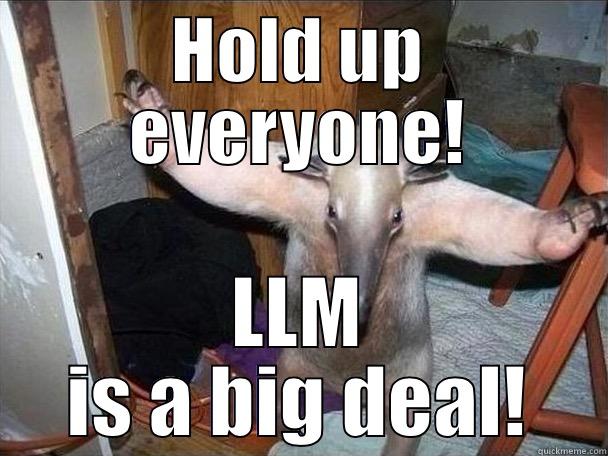 Hold Up! - HOLD UP EVERYONE! LLM IS A BIG DEAL! I got this