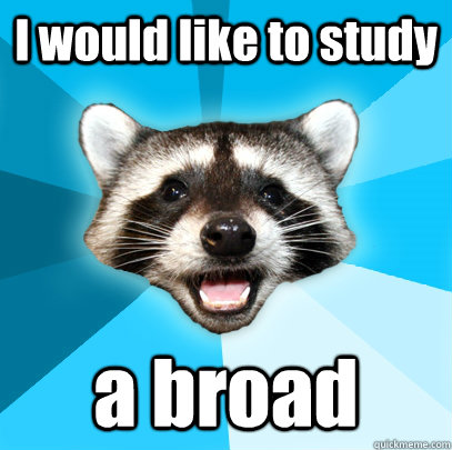 I would like to study a broad  Lame Pun Coon