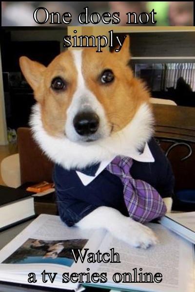 ONE DOES NOT SIMPLY WATCH A TV SERIES ONLINE One Does Not Simply