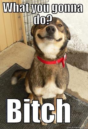 WHAT YOU GONNA DO? BITCH  Good Dog Greg