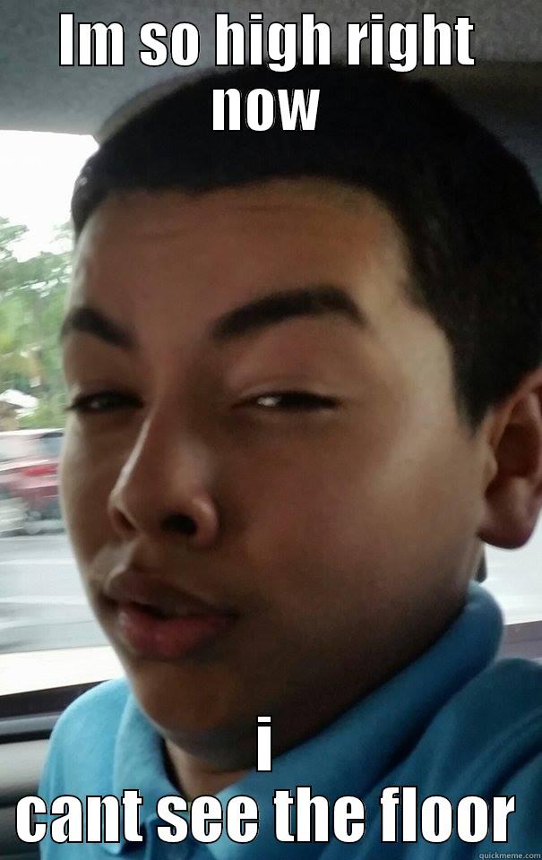 IM SO HIGH RIGHT NOW I CANT SEE THE FLOOR Misc