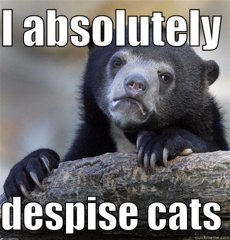 I ABSOLUTELY   DESPISE CATS Confession Bear