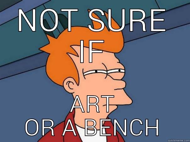 NOT SURE IF ART OR A BENCH Futurama Fry