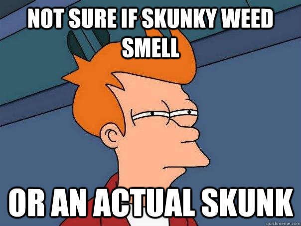 Not sure if skunky weed smell Or an actual skunk  Futurama Fry