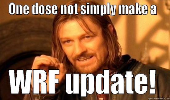 ONE DOSE NOT SIMPLY MAKE A  WRF UPDATE! Boromir