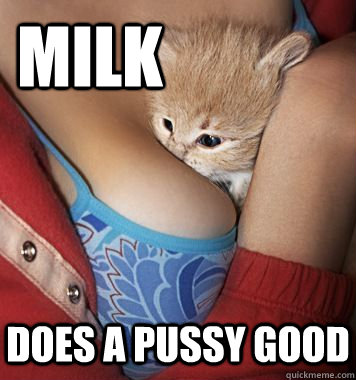 MILK does a pussy good  boob cat