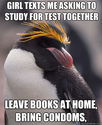 Girl texts me asking to study for test together leave books at home, bring condoms,  Socially Overconfident Penguin
