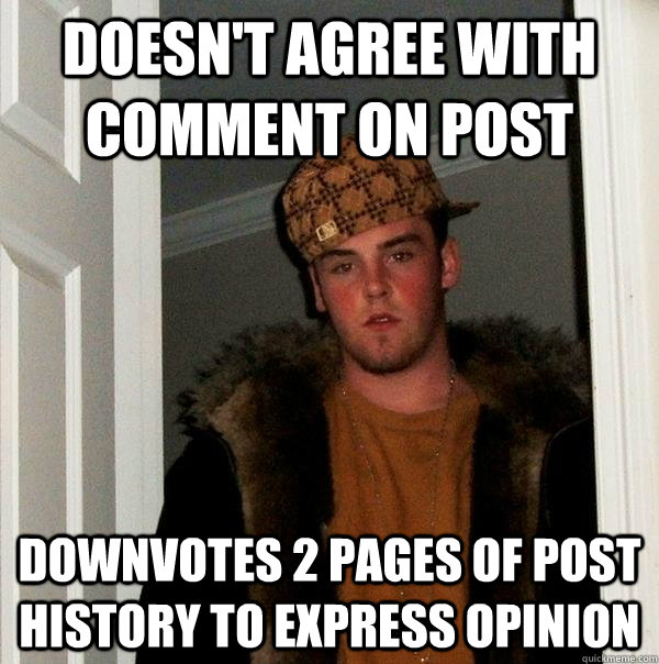 doesn't agree with comment on post downvotes 2 pages of post history to express opinion  Scumbag Steve