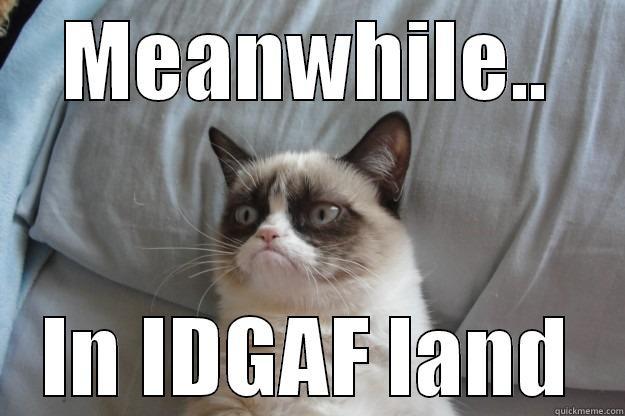 suck it nerd - MEANWHILE.. IN IDGAF LAND Grumpy Cat