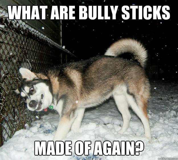What are bully sticks made of again?  