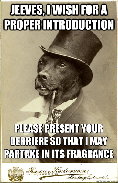 Jeeves, I wish for a proper introduction  please present your derriere so that i may partake in its fragrance  Old Money Dog